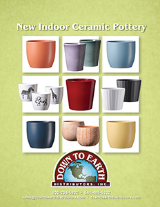 New Indoor Ceramic Pottery Catalog 2024