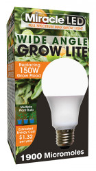LED Wide Angle Daylight  150w