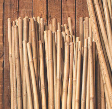 Bamboo Stake 8'x1" Bnd50