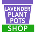 Lavender - plant pot -Wholesale Garden Supplies