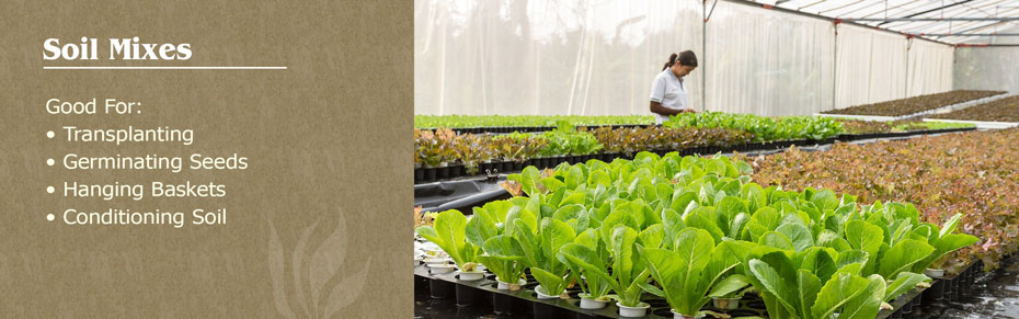 Other Potting Media Composts Down To Earth Distributors Inc Whole Garden Soil All Purpose Potting Black Gold Wonder Worm Horticultural