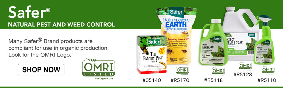 Wholesale Natural Pest Control - Safer Products