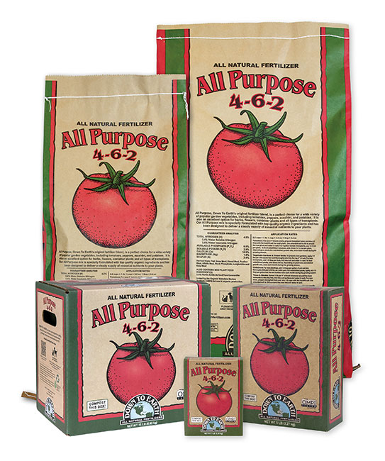 Best Fertilizer for Growing Tomatoes