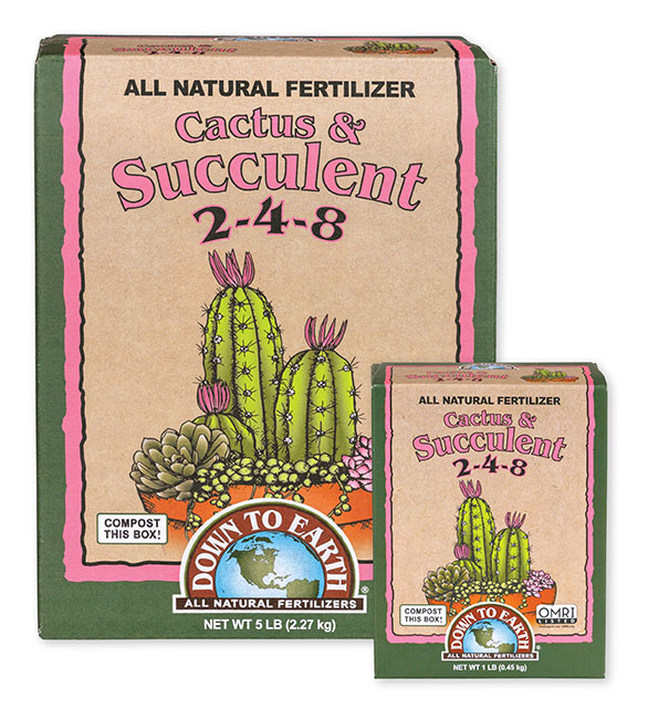 cactus fertilizer
