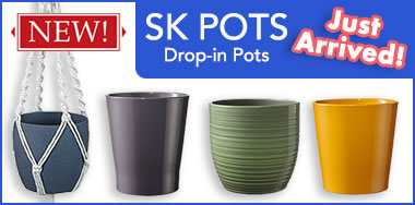 PLANT POTS - SK POTS JUST ARRIVED!
