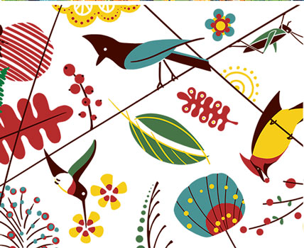 Birds Collection