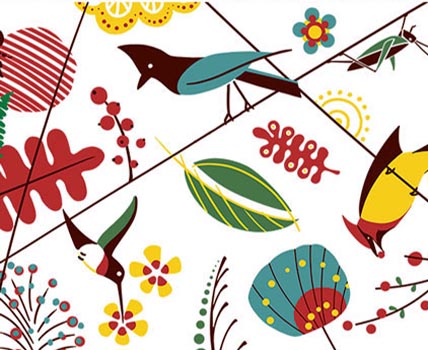 Bird Collection  - Shop!