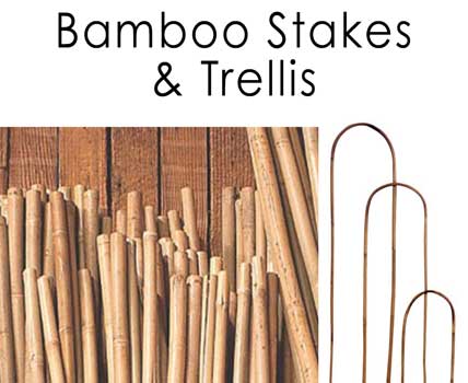Bamboo stakes & Trellis- Bulk Sales