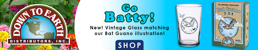 Check out the bat Glass!
