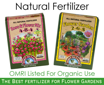 The Best Fertilizer for Flower Gardens