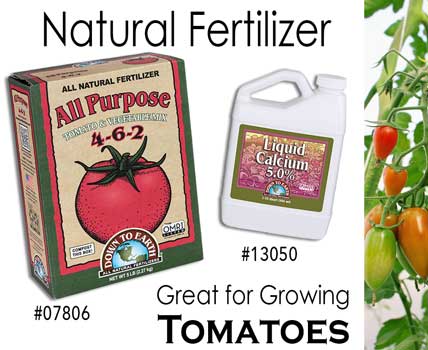 Best Natural Fertilizer for Growing Tomatoes