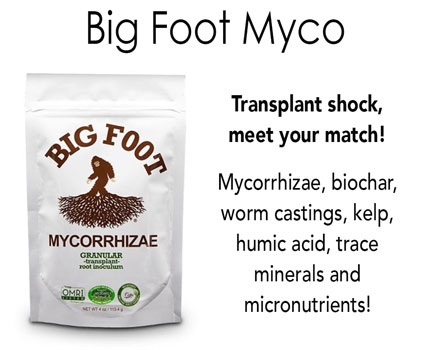 Big Foot Mycorrhizae -wholesale