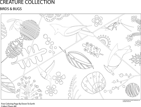 Birds Coloring Page - free Download