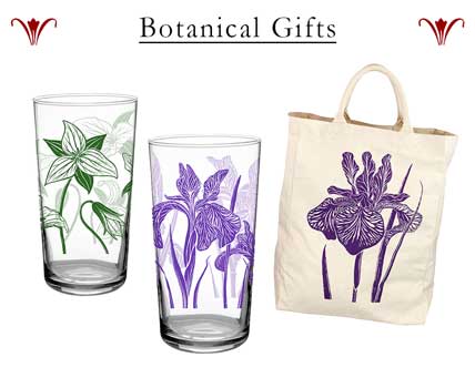 Botanical Gifts - Wholesale Gifts