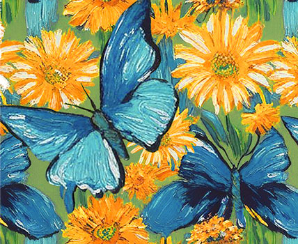 Butterfly Collection