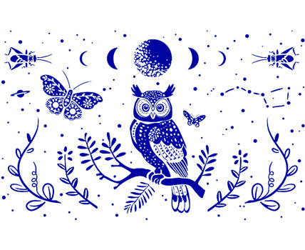 Owl collection  - Shop!