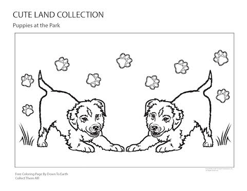 Cute Land Collection Puppies