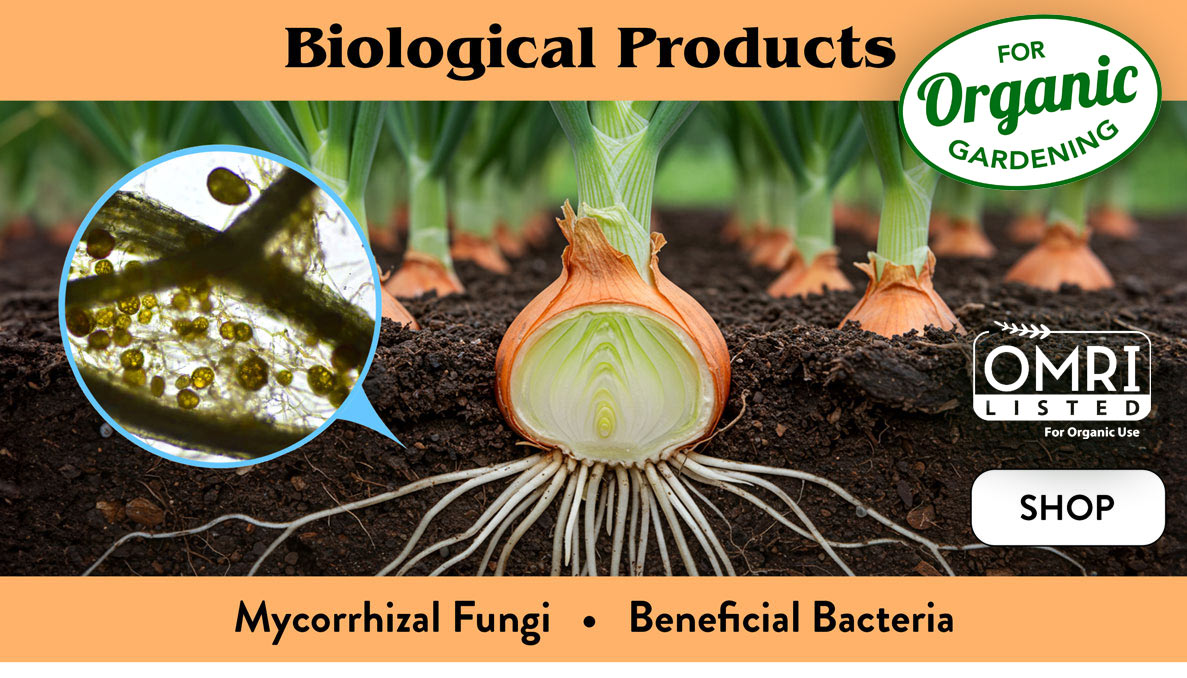 Biological Fertilizers - Wholesale Mycorrhizal Fungi