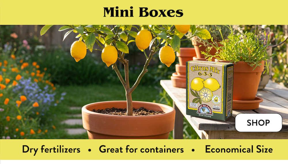 Down To Earth Mini Boxes Wholesale Supplier