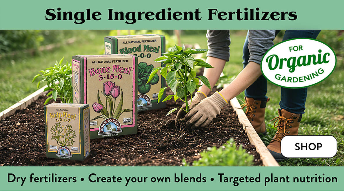 Down To Earth Single Ingredients - Wholesale -Bulk Sales