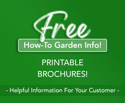 Free Printable Brochures How to Garden