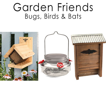 Garden Friends- Birds, Bugs and Bats!