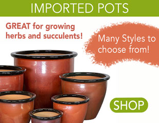 New Imported Pots