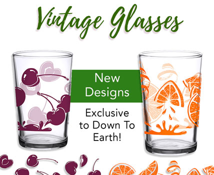 Vintage Glasses Tumblers Tall Beverageware