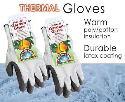 Wholesale Thermal Gloves
