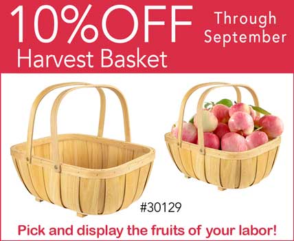 Harvest Basket -Wood Trug