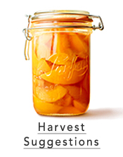 harvest suggestions - 2023,  best products for fermentation