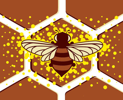 Honeybee collection - accessories and gifts