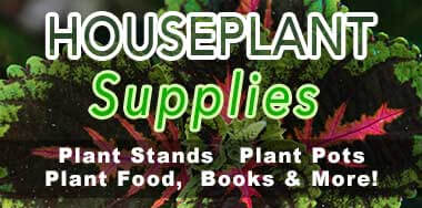 Houseplant Supplies - for Snake Plant, Orchid, Bromeliad, Monstera Deliciosa