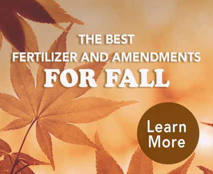 Garden How-to: Fertilize plants in the fall 