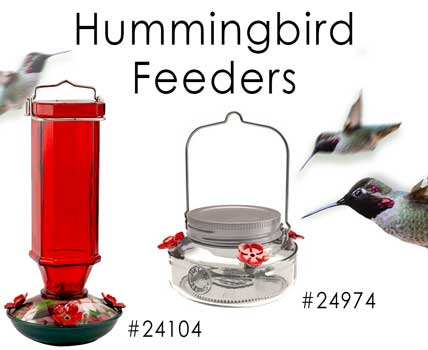 Wholesale Hummingbird Feeders and Supplies