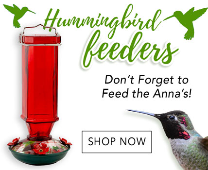 Wholesale Humming Bird Feeders