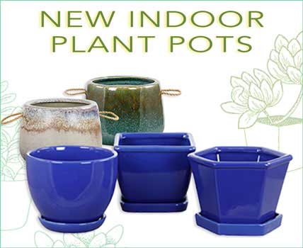 NEW -INDOOR PLANT POTS blue glazed pots