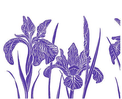 Iris Collection