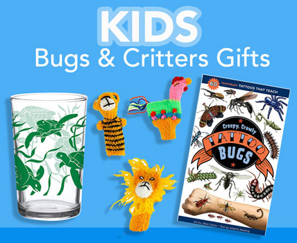 wholesale kids books bugs and critters