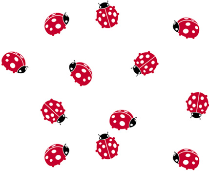 New Lady Bug Collection!