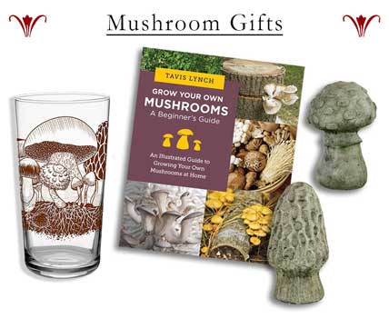 Mushroom Gifts- Wholesale Gift Supply
