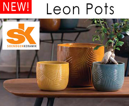wholesale SK Pots - Houseplant Supplies