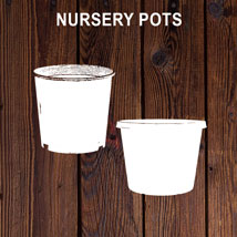 nursery pots wholesale