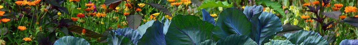 Down To Earth Organic Fertilizer Blends