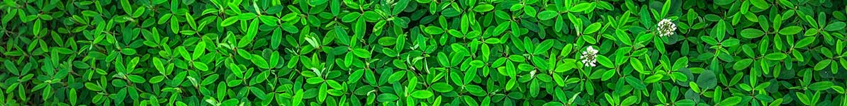 Organic Fertilizers and Amendments - Wholesale USA Company, Eugene Oregon