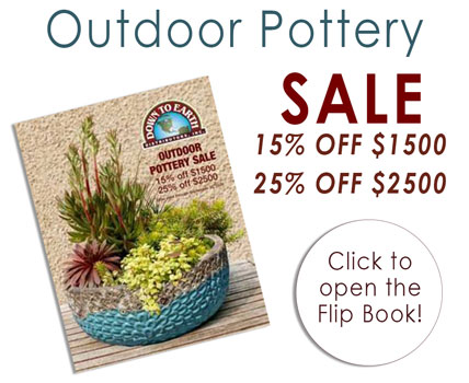 Shop Sale!