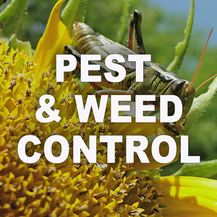 WHOLESALE PEST CONTROL & WEED CONTROL