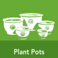 Plant Pots- Wholesale -2023