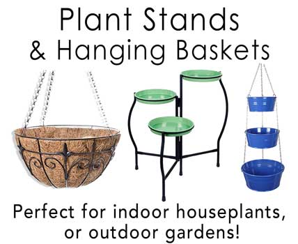 Plant Stands and Hanging Baskets Wholesale