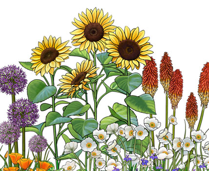 wholesale apparel -pollinators - wildflowers 